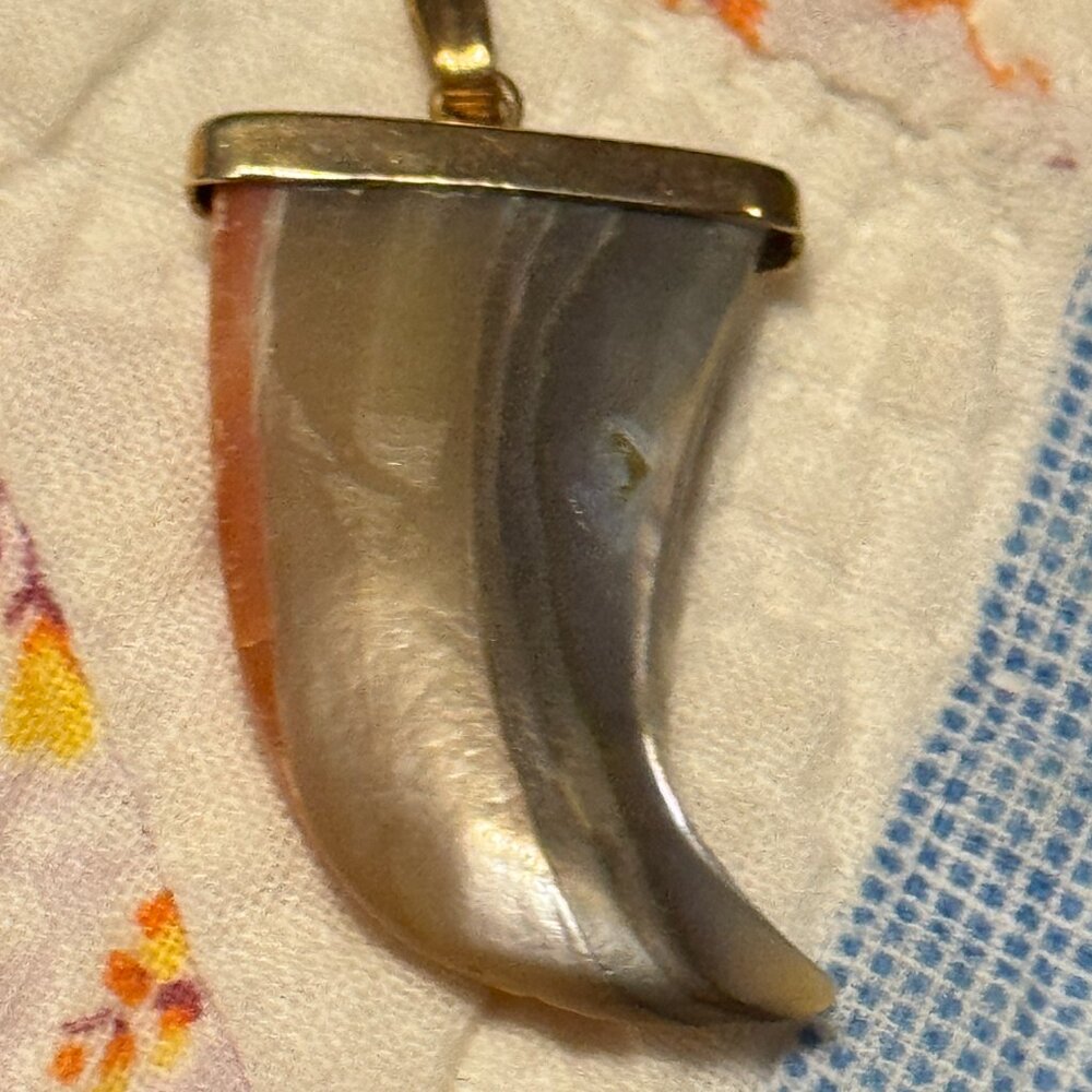 Carved Abalone Claw Pendant